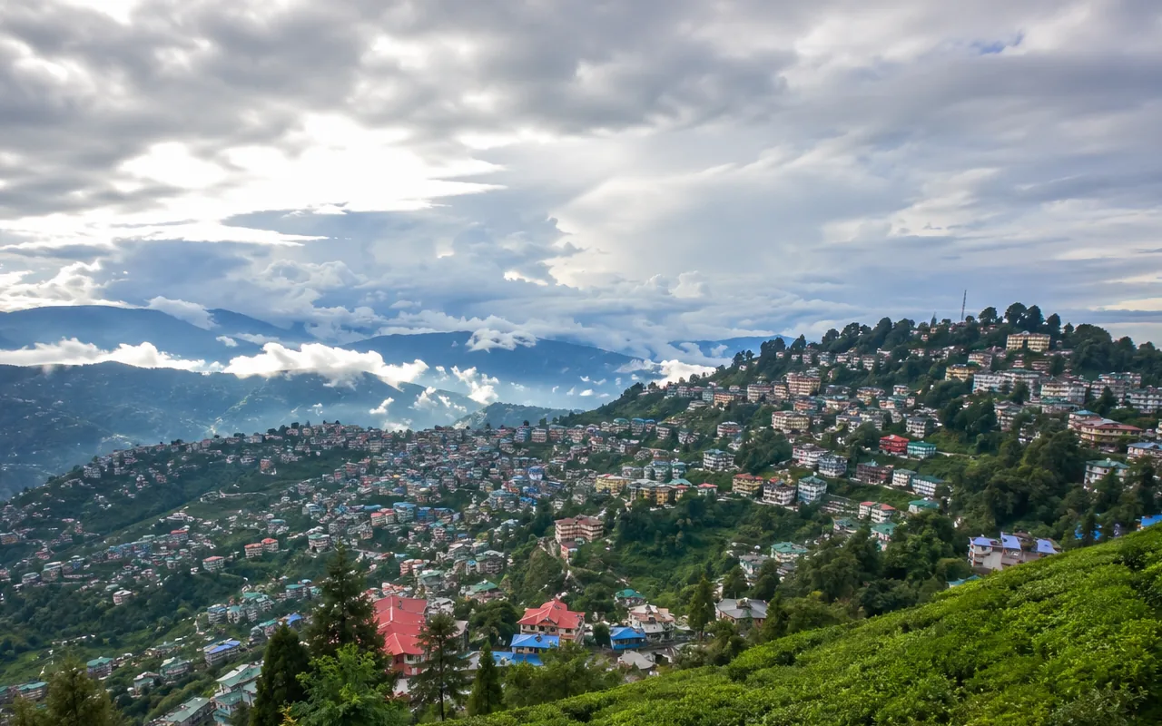 Darjeeling Happy Valley Tea Estate