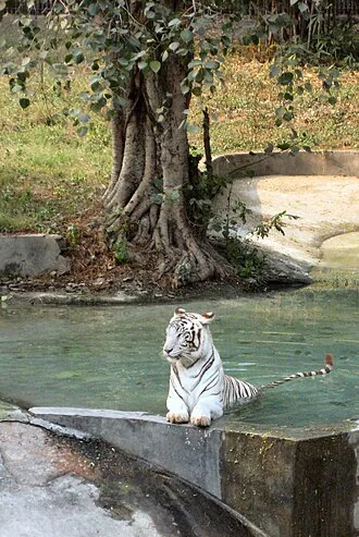 Delhi National Zoological Park