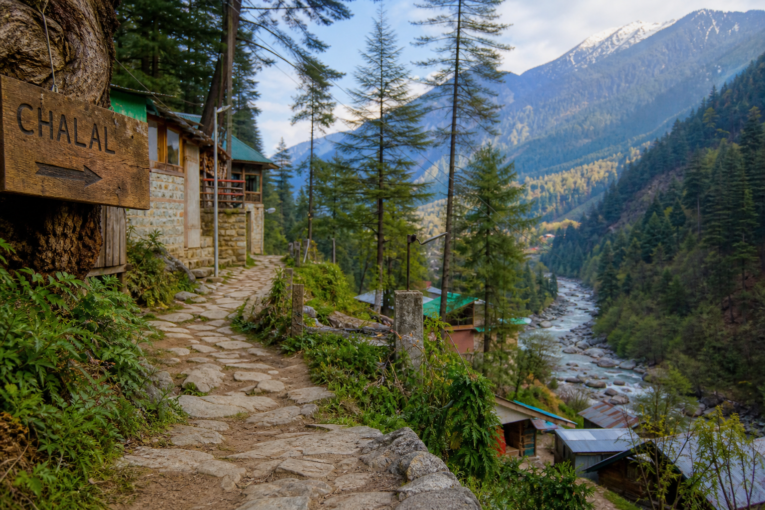 Kasol detail 5